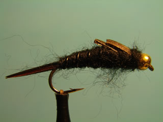 Black Bead Head Stonefly (8)